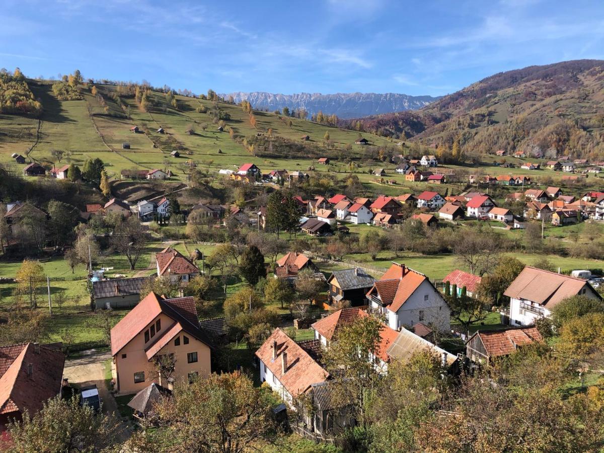 On Top Chalet Бран Екстер'єр фото