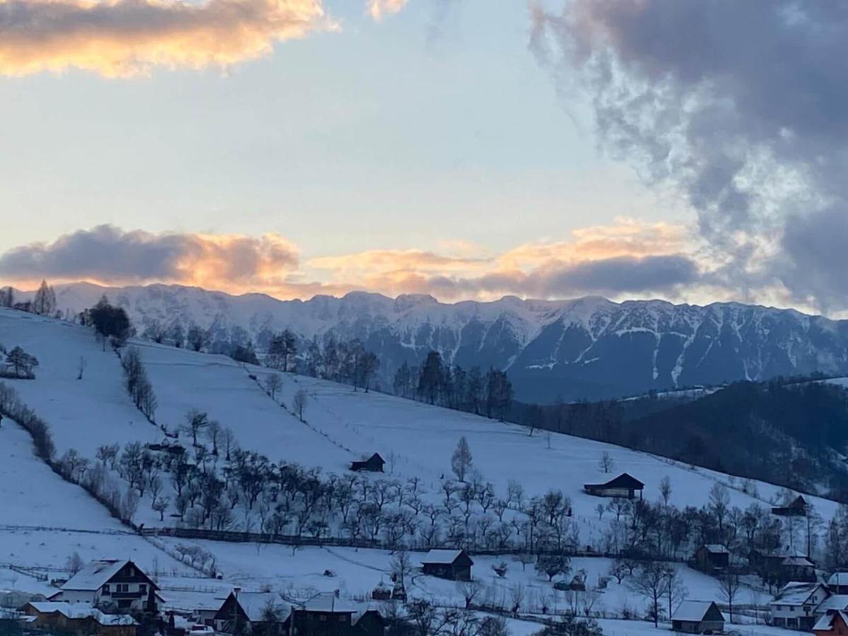 On Top Chalet Бран Екстер'єр фото
